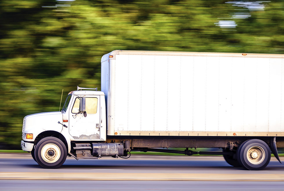 Panda Van Lines truck in motion on highway — on time every time